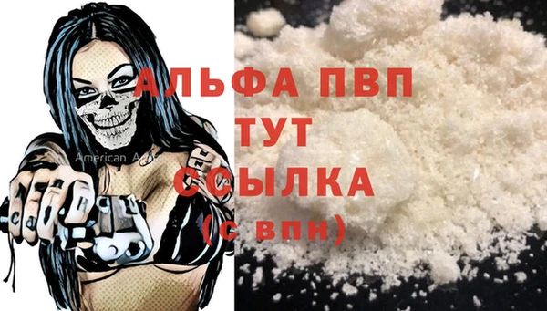 PSILOCYBIN Горняк