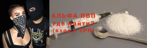PSILOCYBIN Горняк