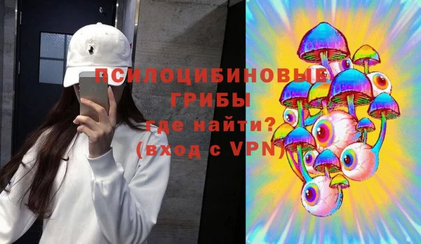 стаф Горно-Алтайск