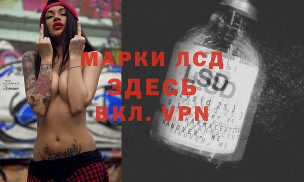 PSILOCYBIN Горняк