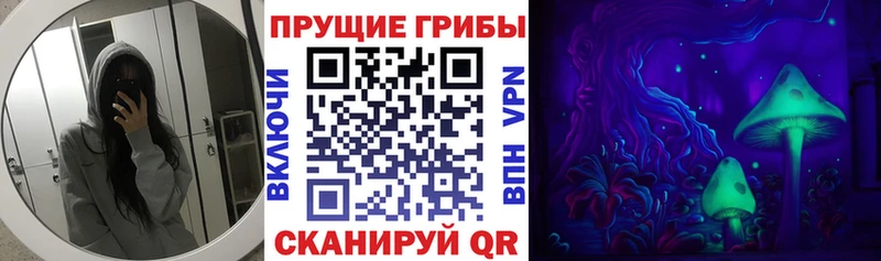 Псилоцибиновые грибы Psilocybe  закладка  Рязань 